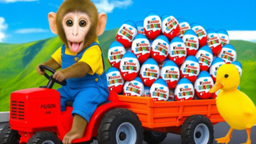 Toy Video for Kids, Cocomelon, Dolls, Unboxing Video